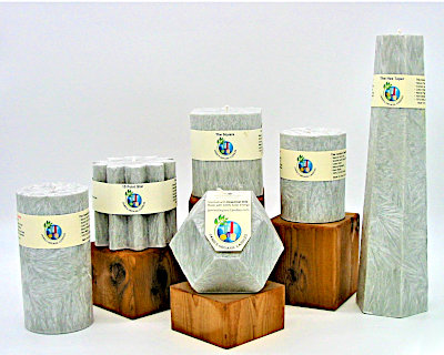Set of All 6 Shapes - Silver Birch